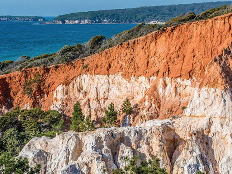 The Pinnacles geological formation seen from the loop walking track. Photo: John Spencer/DPIE