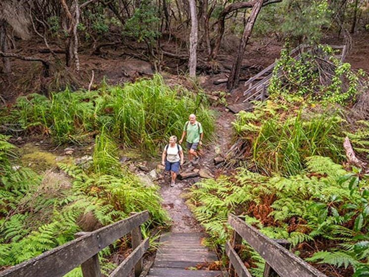 Bushwalkers on a section of the Light to Light walk, near Bittangabee campground. Photo: John
