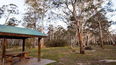 Berlang campground shelter, Deua National Park. Photo: Lucas Boyd © OEH