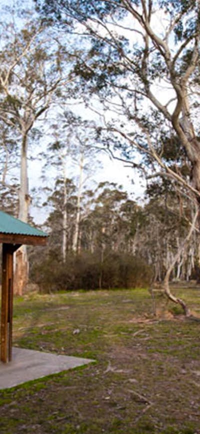 Berlang campground shelter, Deua National Park. Photo: Lucas Boyd © OEH