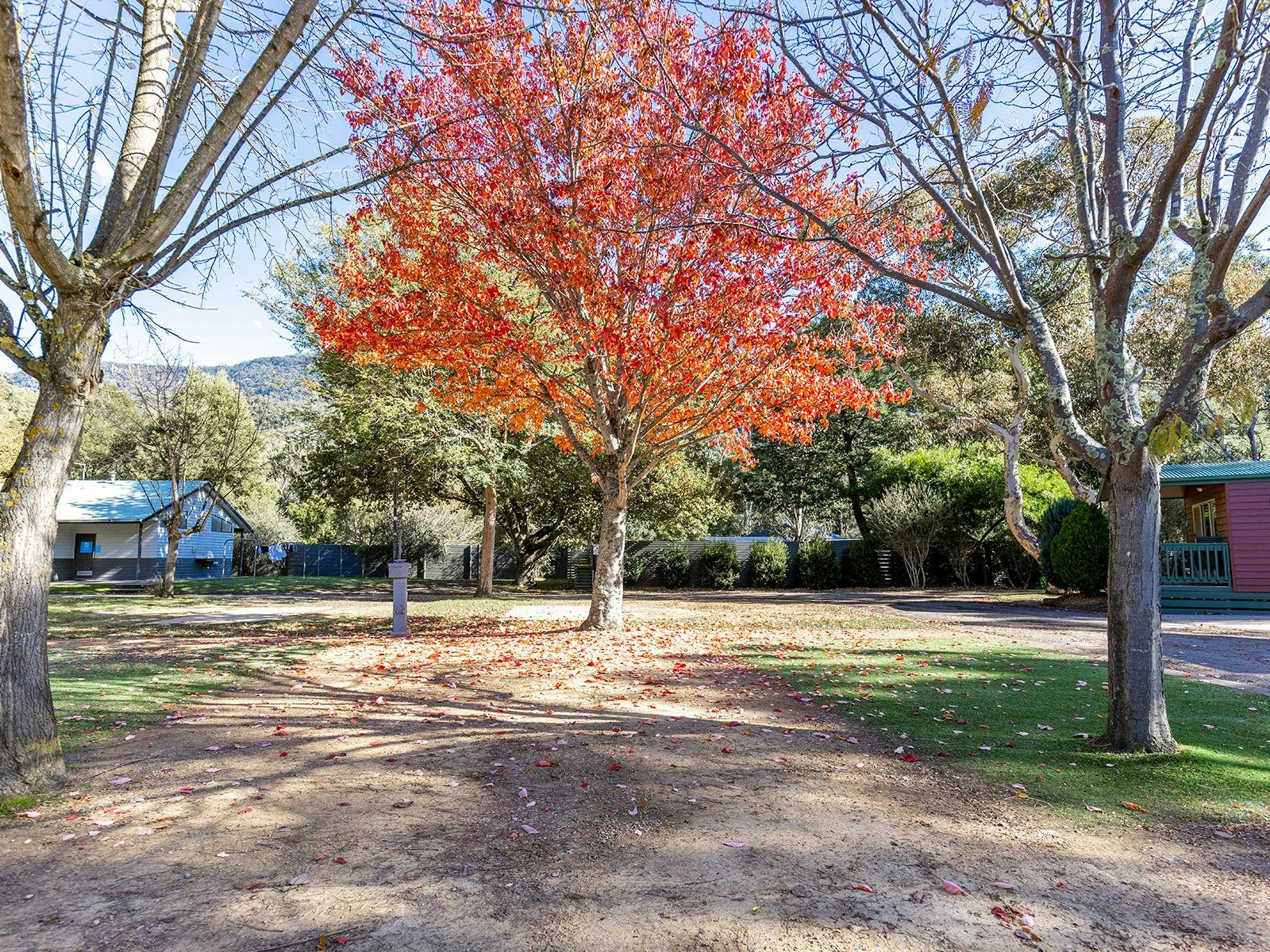 Powered Site - Grass