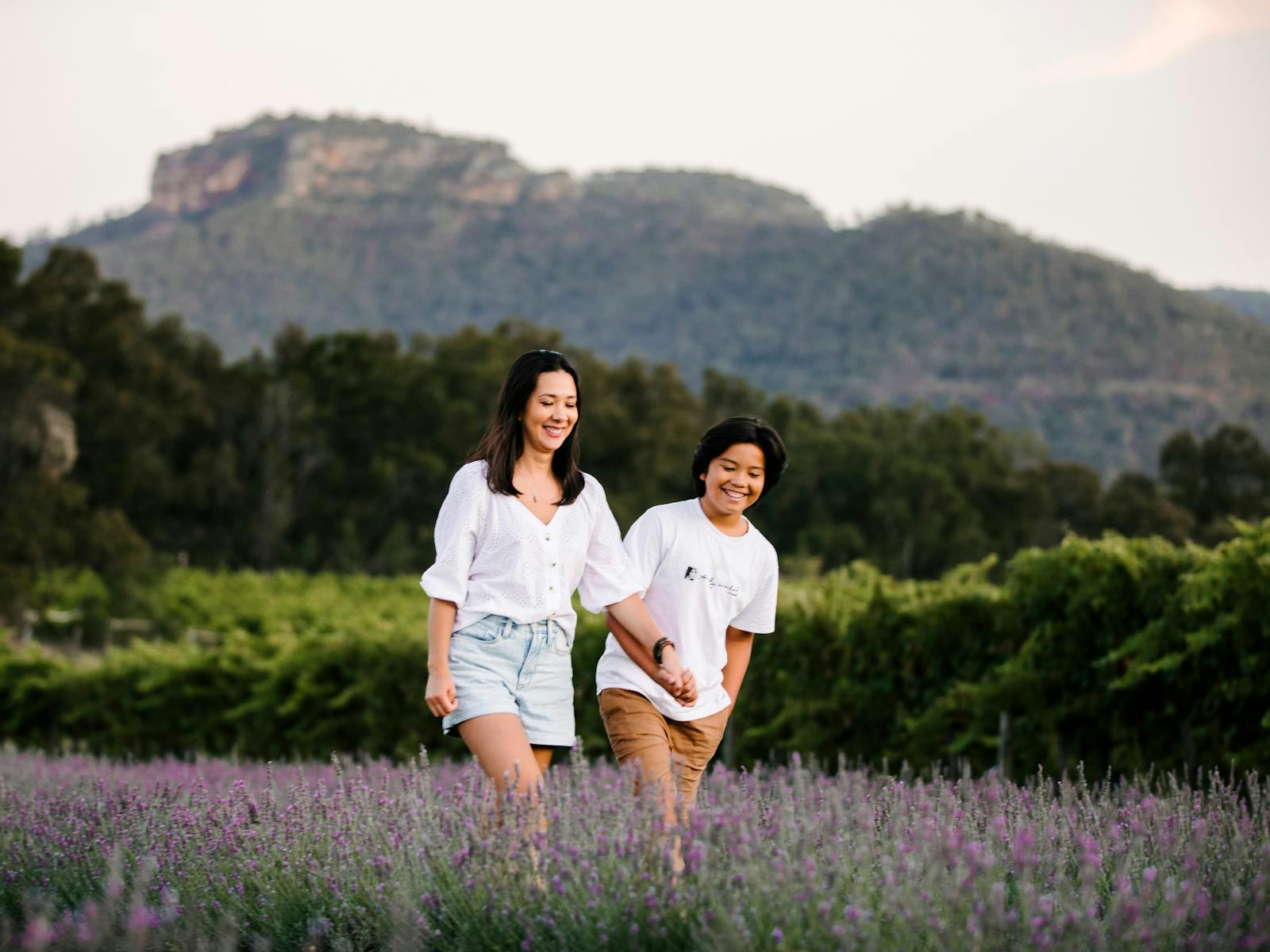 Image for Lavender Field Walk and Tour