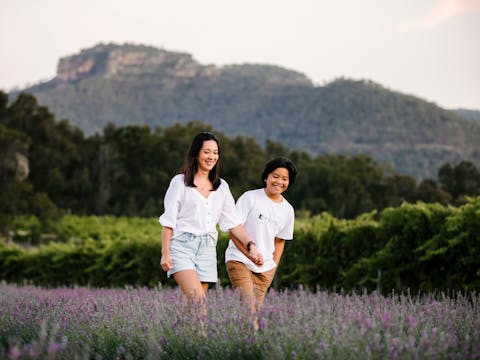 Lavender Field Walk and Tour