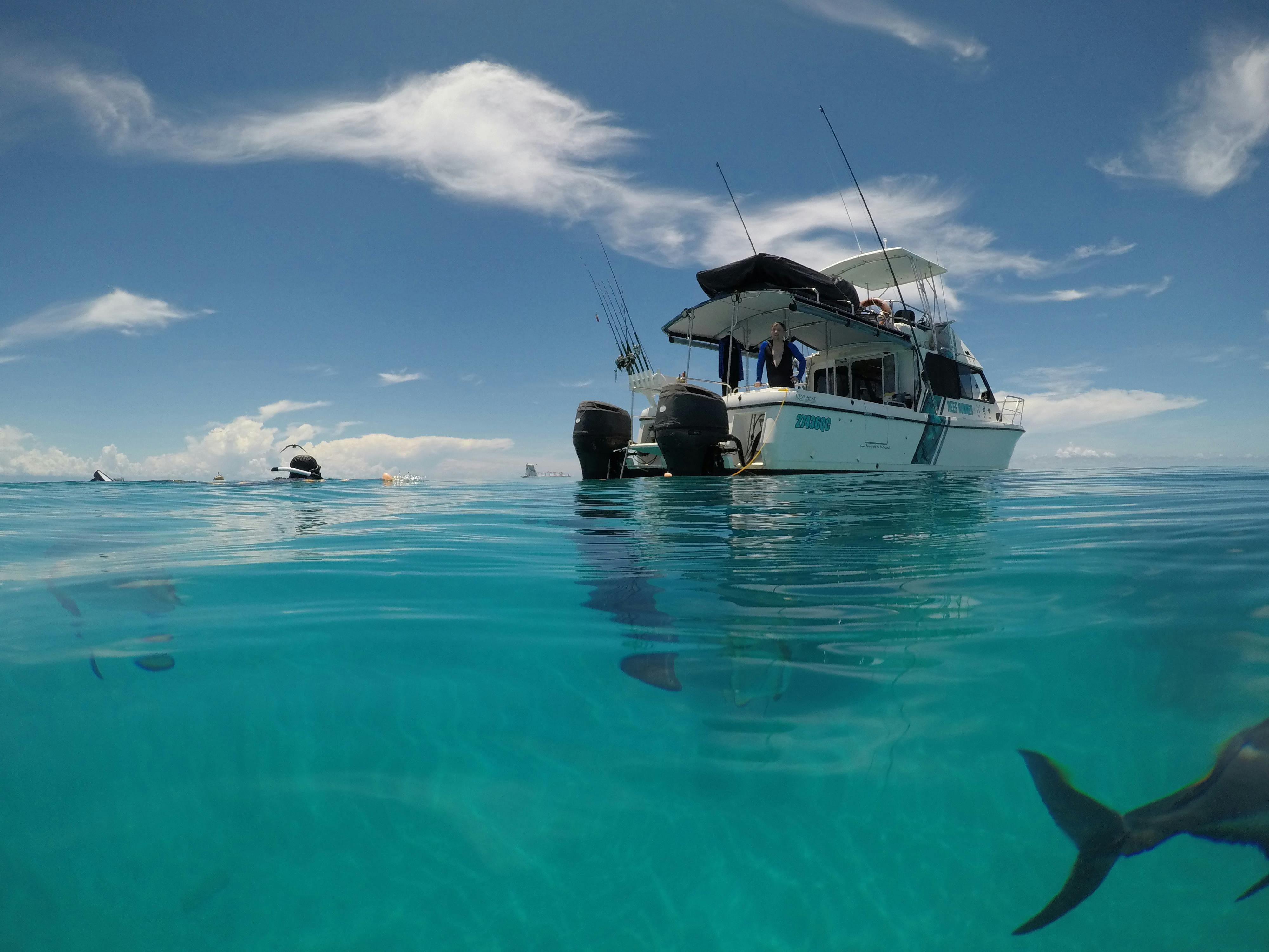 Full Day Fishing Charters