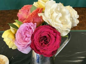Annual Champion Rose Competition