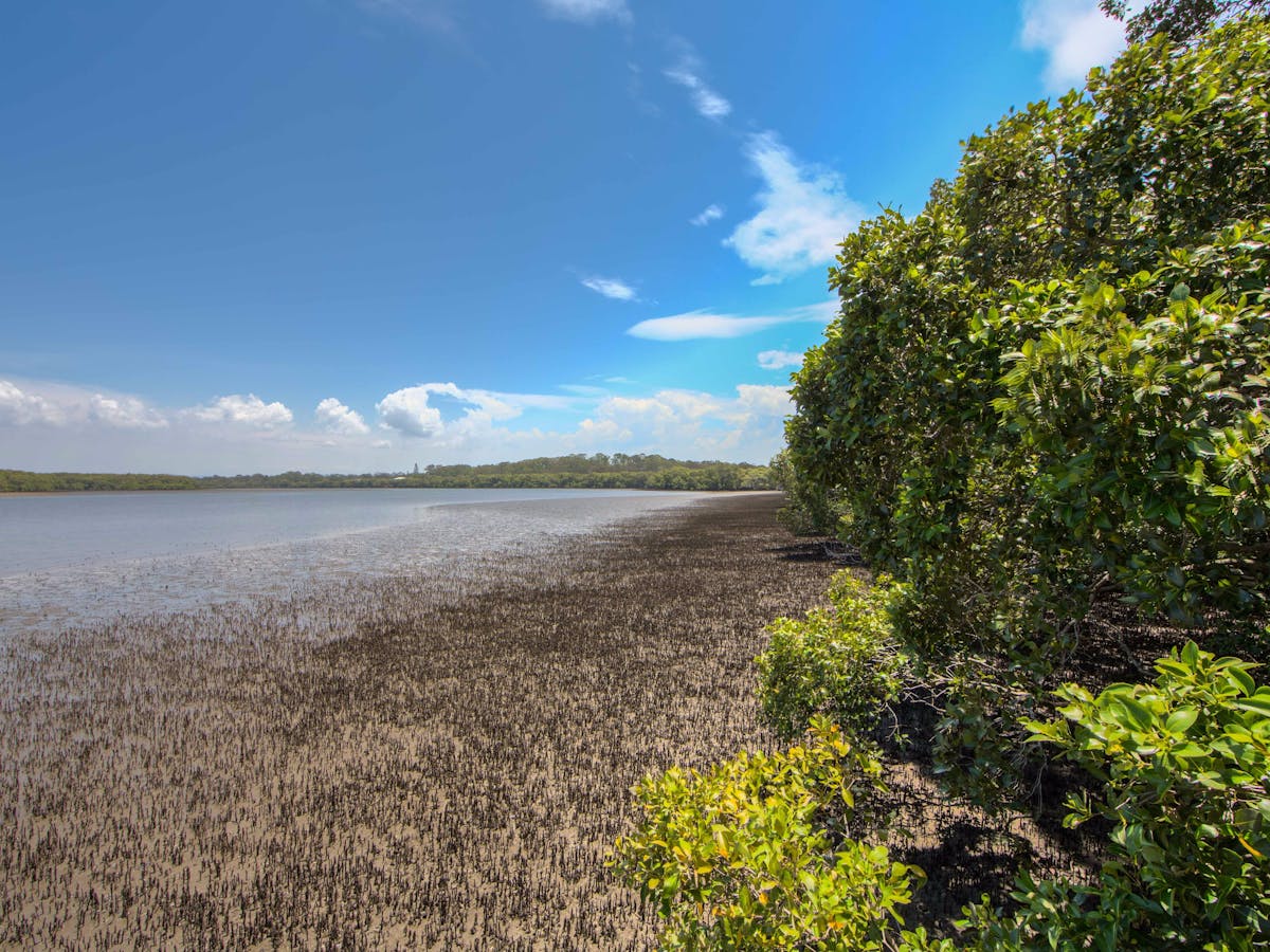 Osprey_House_North_Pine_River_Moreton_Bay_Region Osprey_House_North_Pine_River_Moreton_Bay_Region