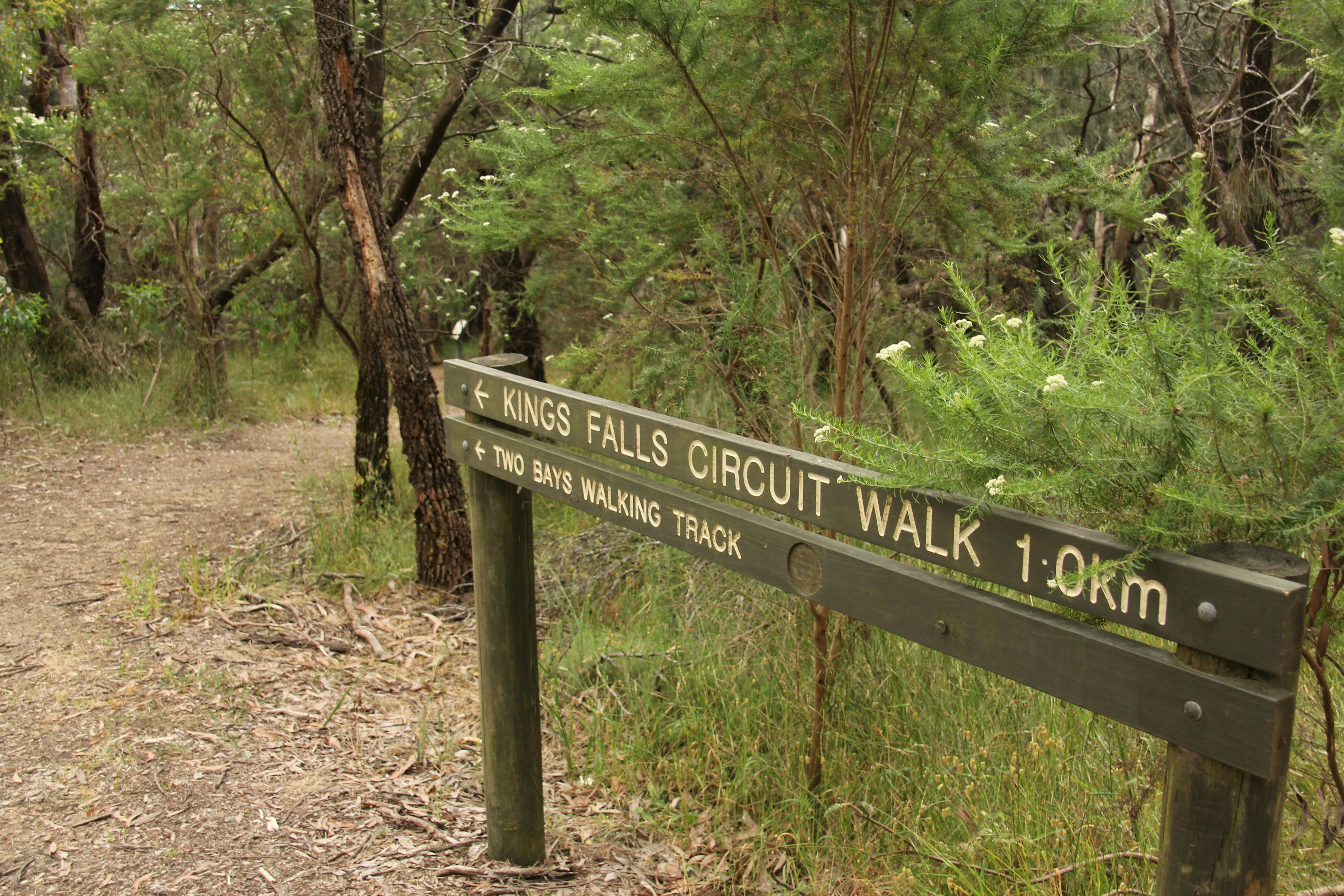 Waterfall Gully