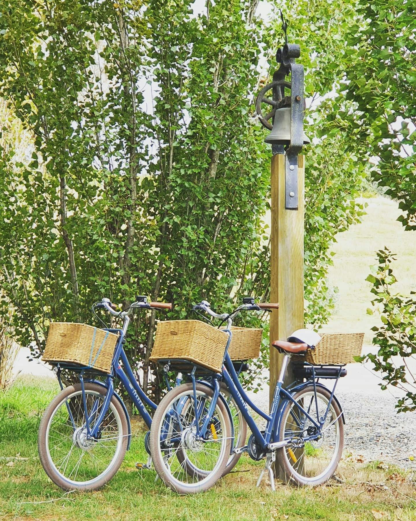 Image for Canberra Wine Region E-Bike Tours