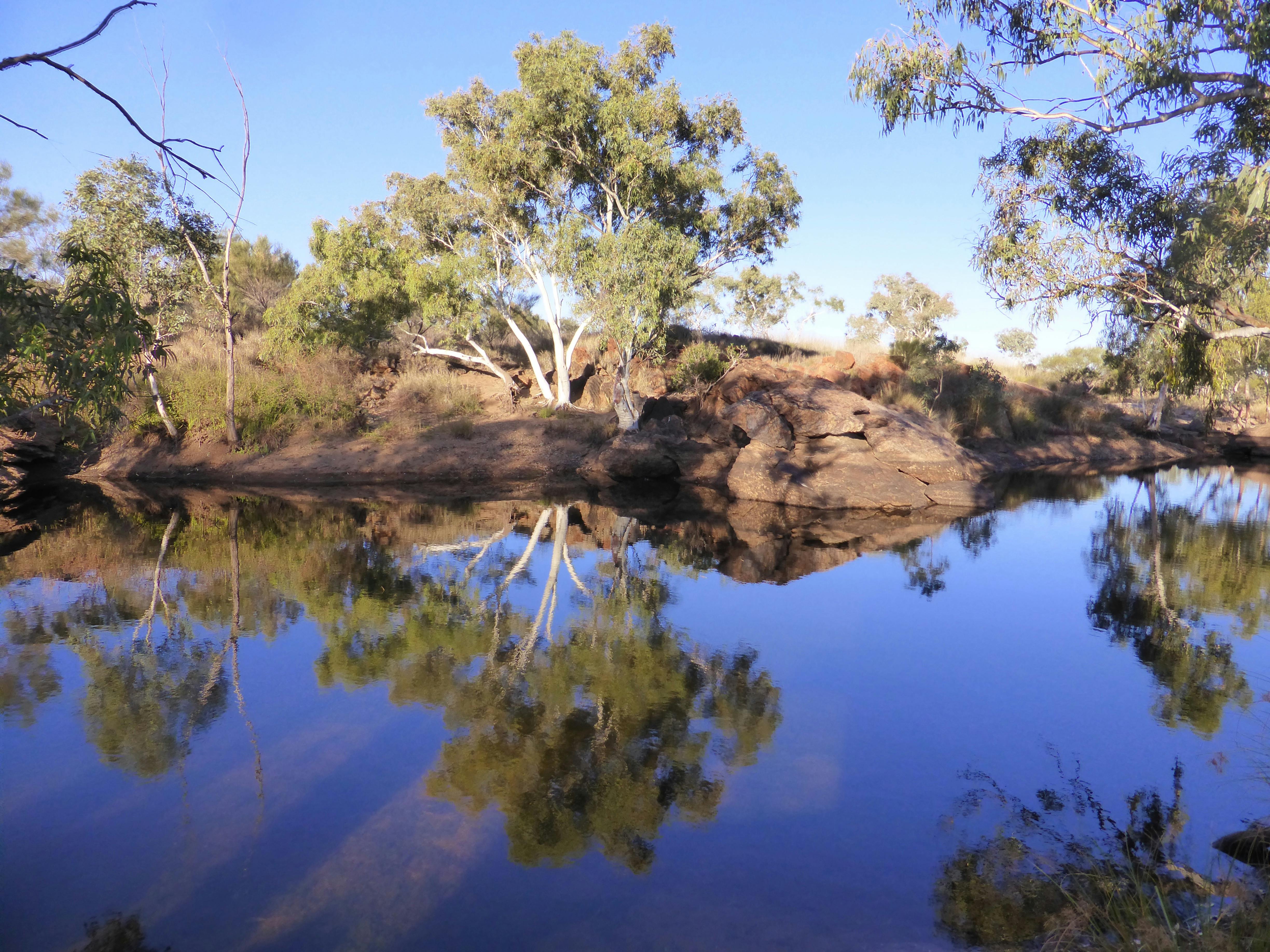 Coates Wildlife Tours