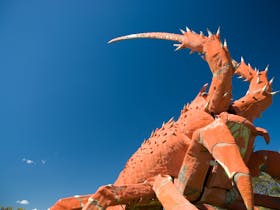 The Big Lobster