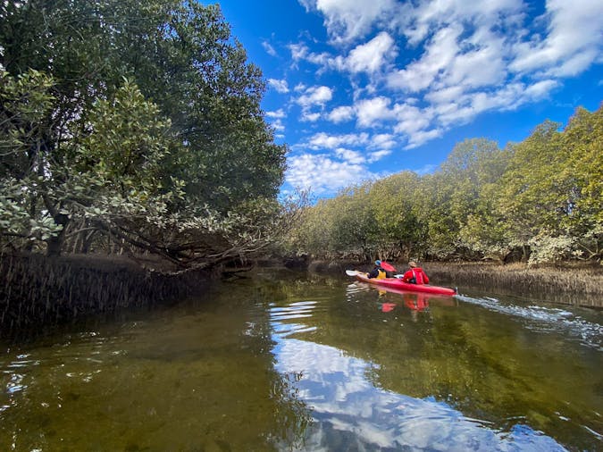 2 Person Kayak Hire