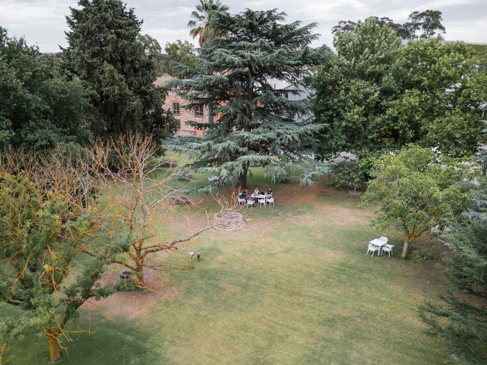 Lawns