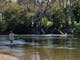 a man Trout fishing in the river
