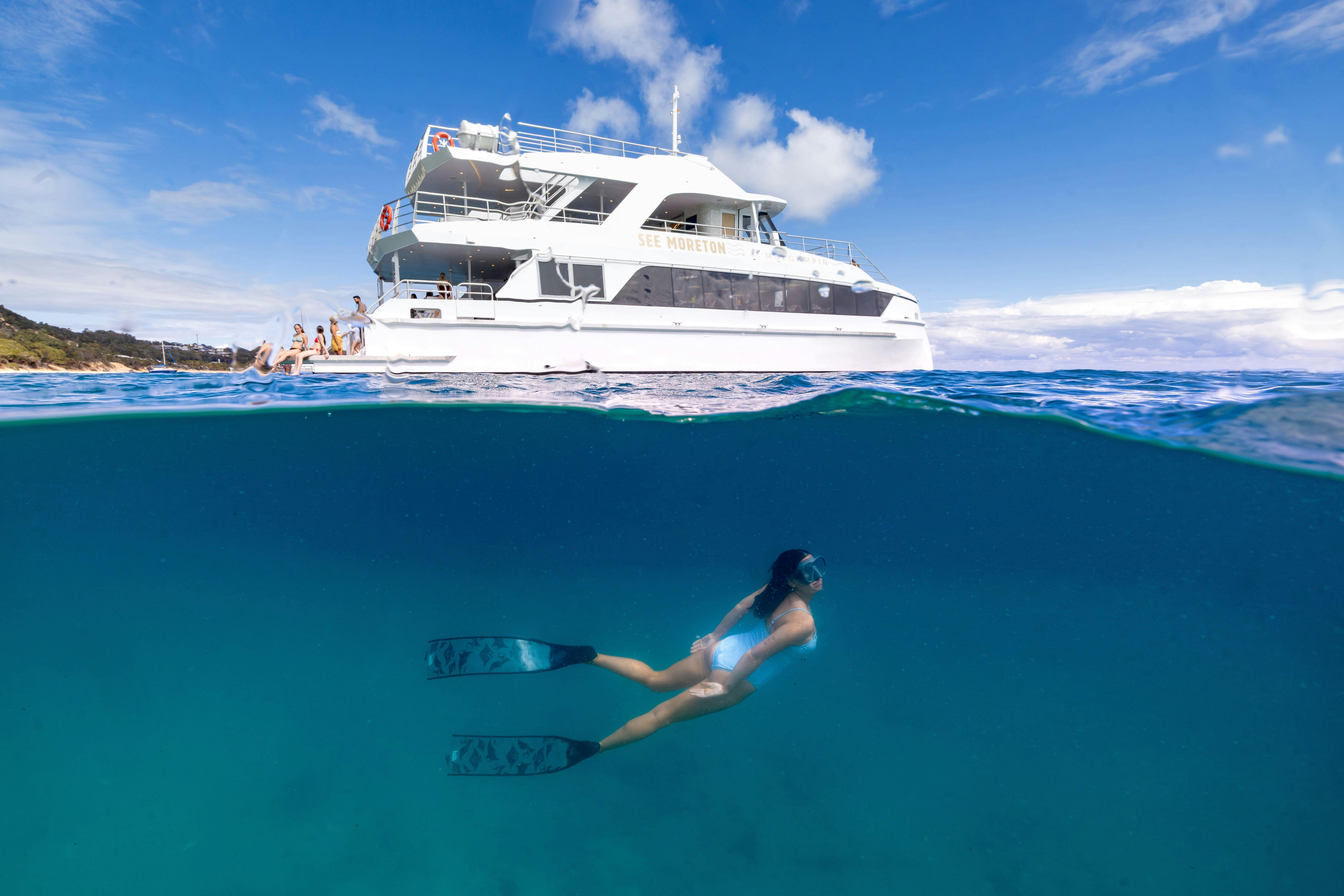 Tangalooma Wrecks Snorkel & Dolphin Cruise