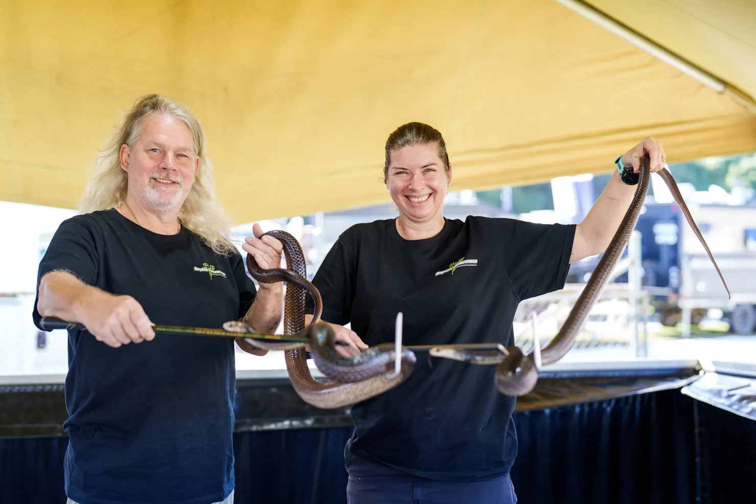 reptile show