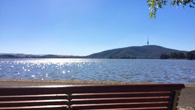 Park bench facing the lake with views of Black Mountain and Telstra Tower