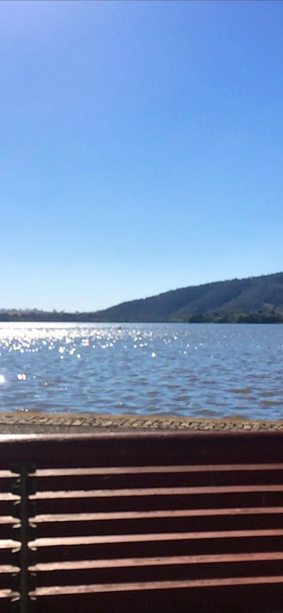 Park bench facing the lake with views of Black Mountain and Telstra Tower