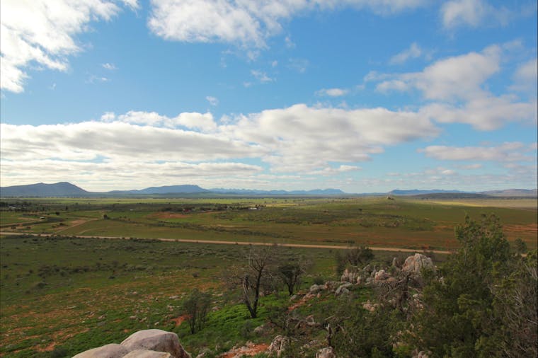 Camel Hump Lookout Walk