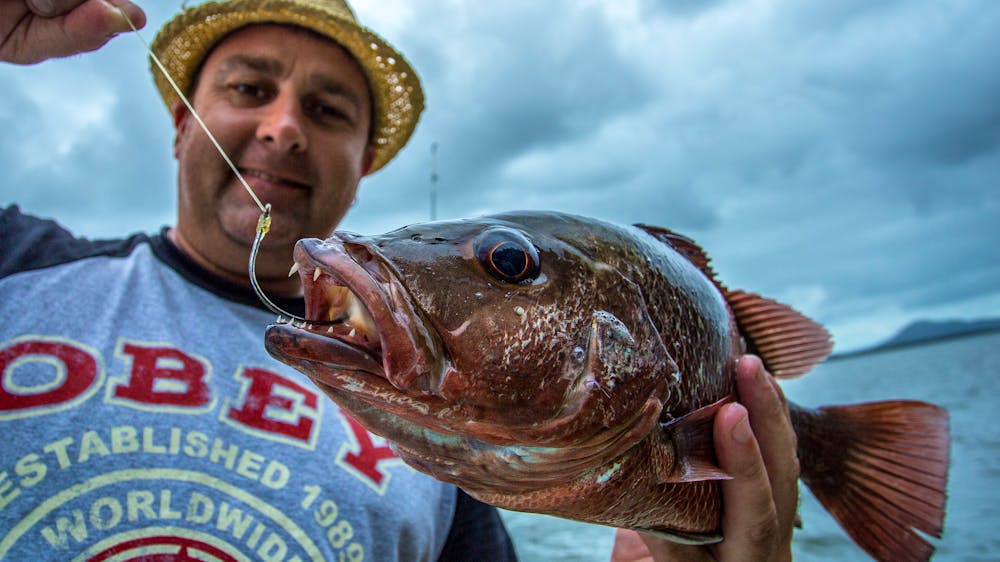 Hinchinbrook's Fullon Fish'n Charters
