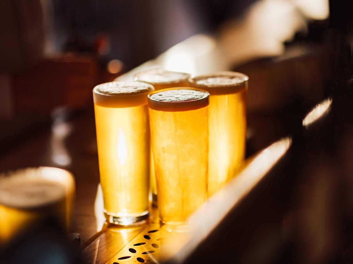 Tiny Mountain Brewery Beers