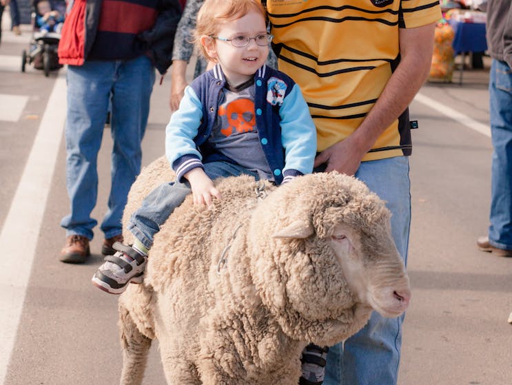 Merriwa Festival of the Fleeces