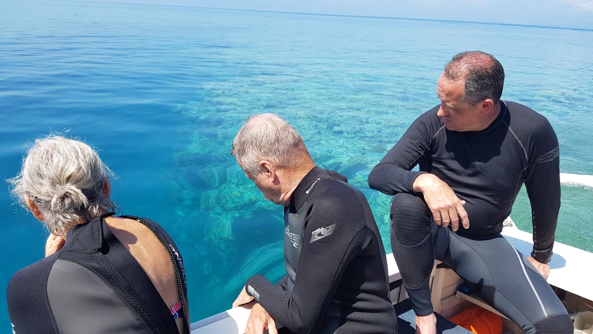 Exploring the outer reef from the glass bottomed tender Exploring the outer reef from the glass bottomed tender