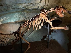 Naracoorte Caves