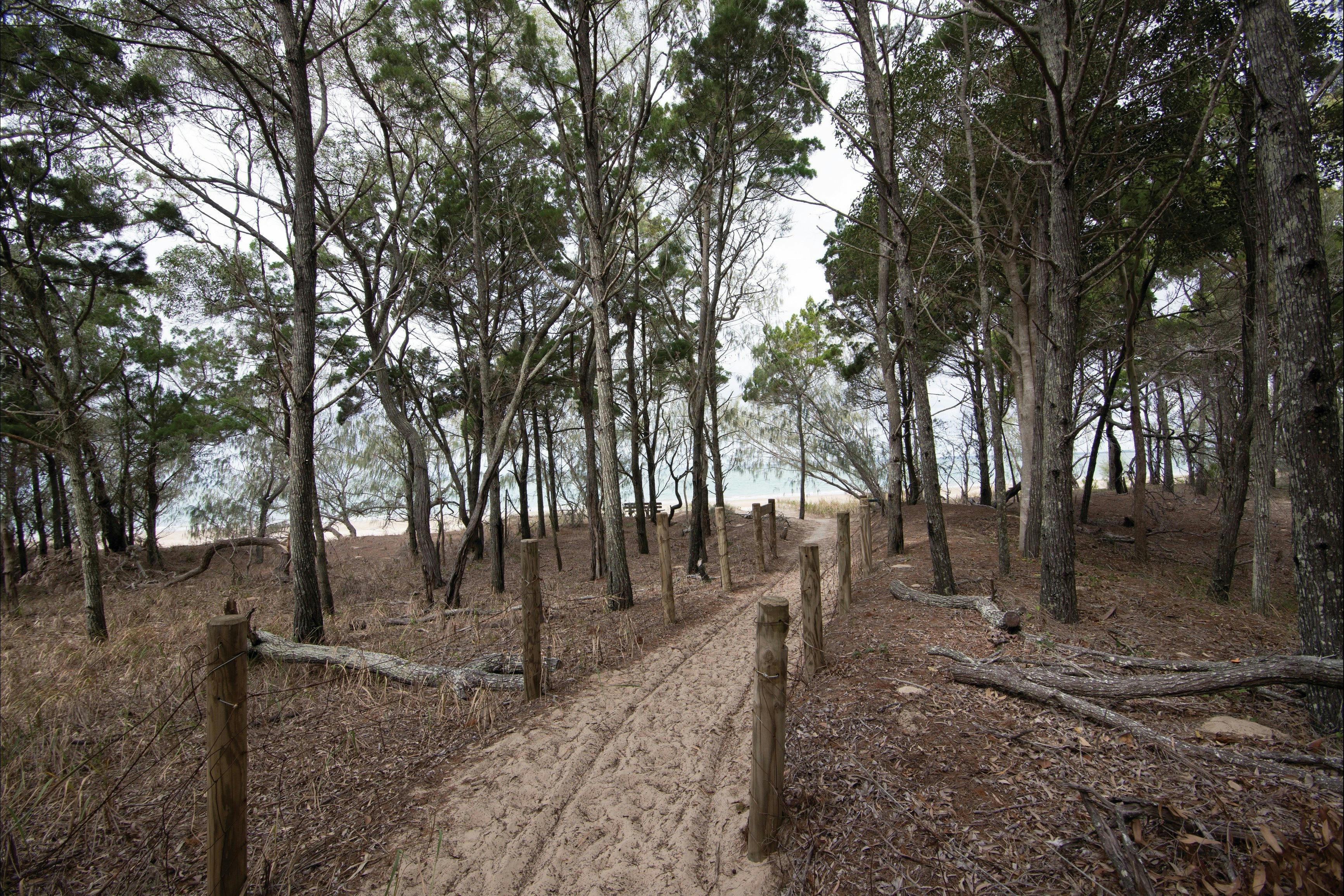 Burrum Point camping area, Burrum Coast National Park