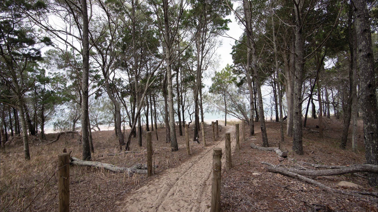 Burrum Coast National Park camping | Visit Fraser Coast