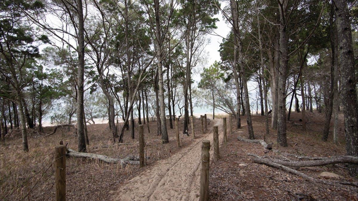 Camping area beside sandy beach