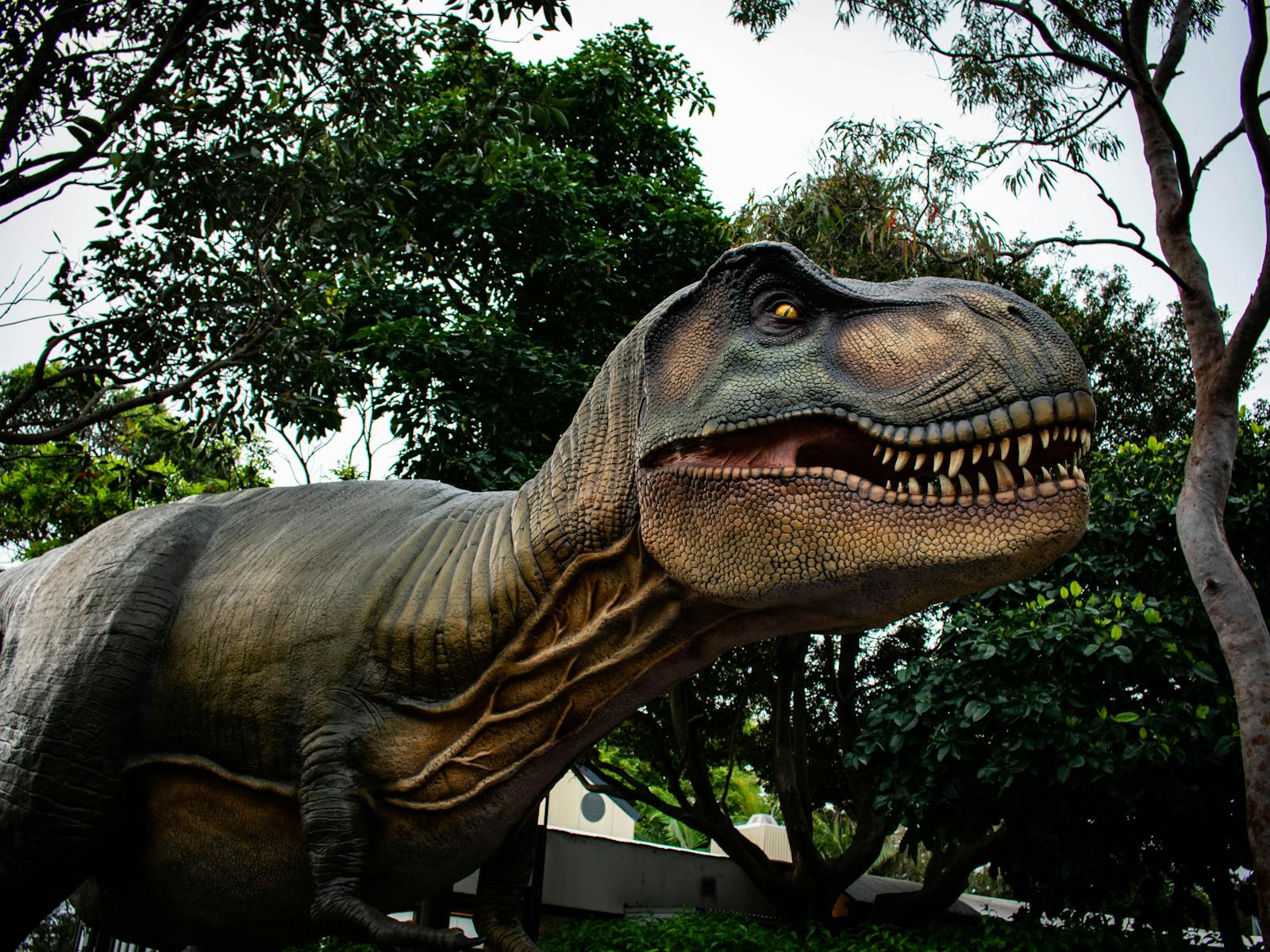 Image for Dinos at Werribee Open Range Zoo