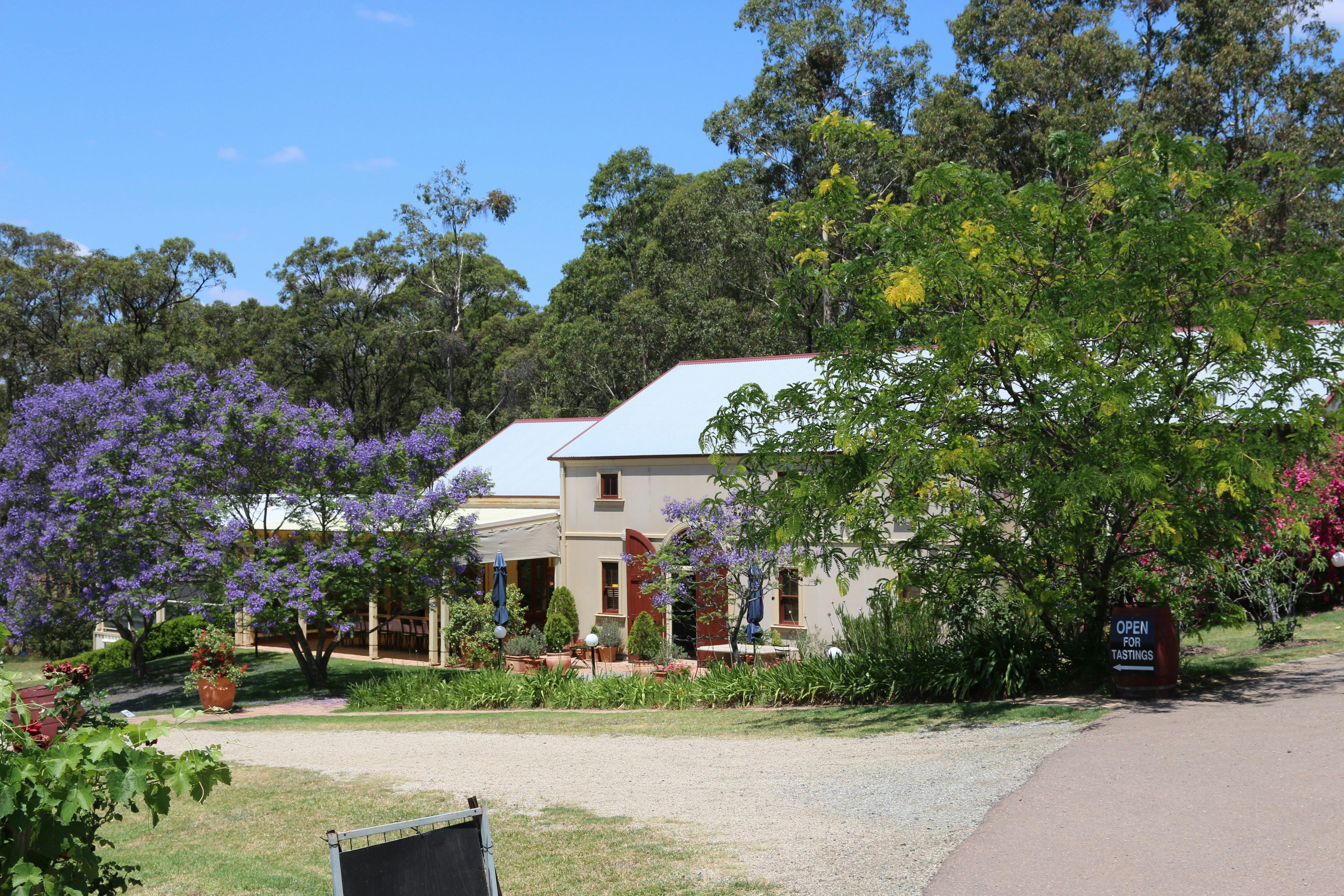 Tintilla cellar door