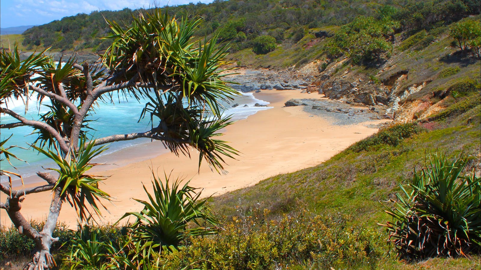 Stony Beach