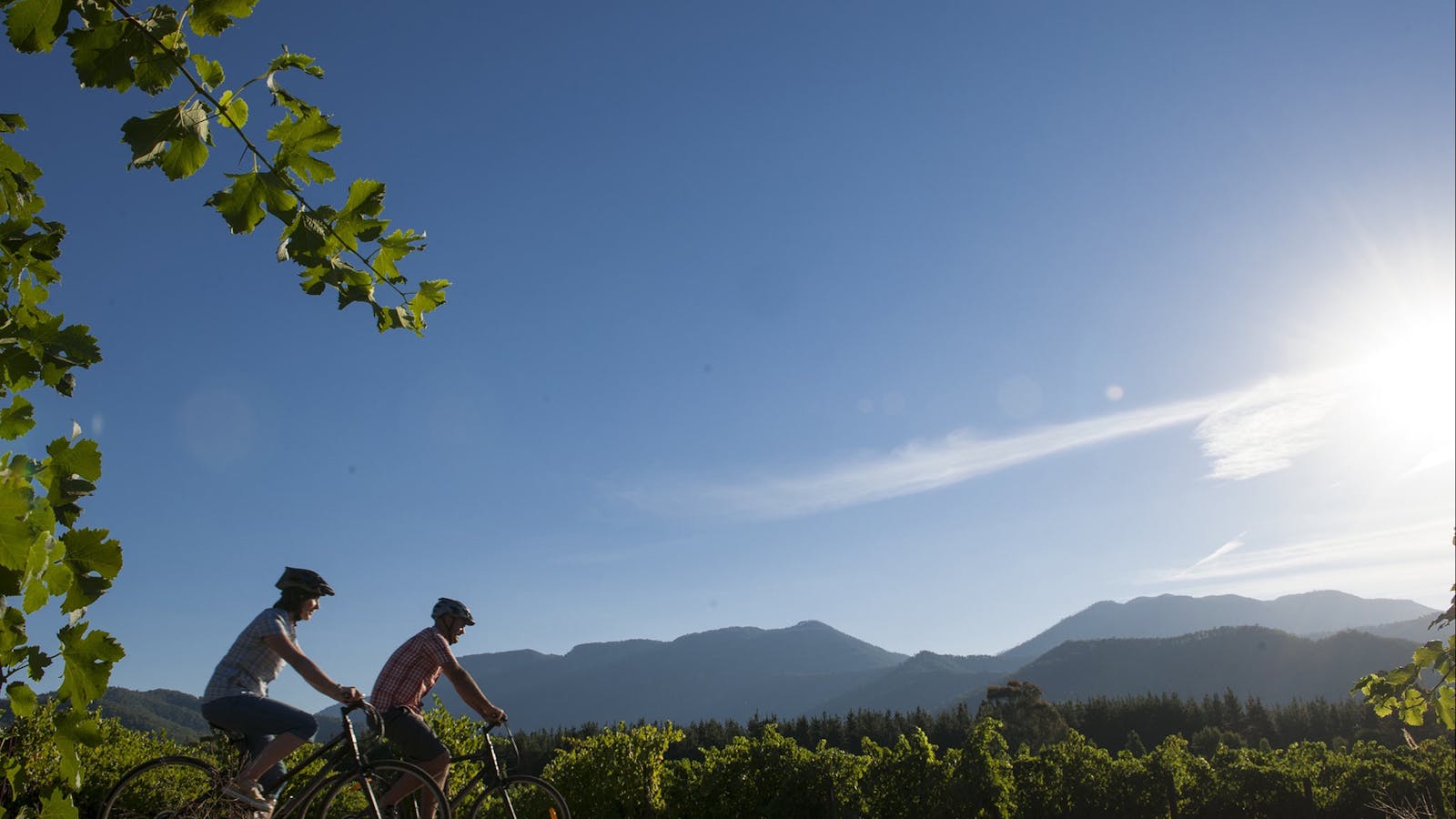 Murray to Mountains Rail Trail