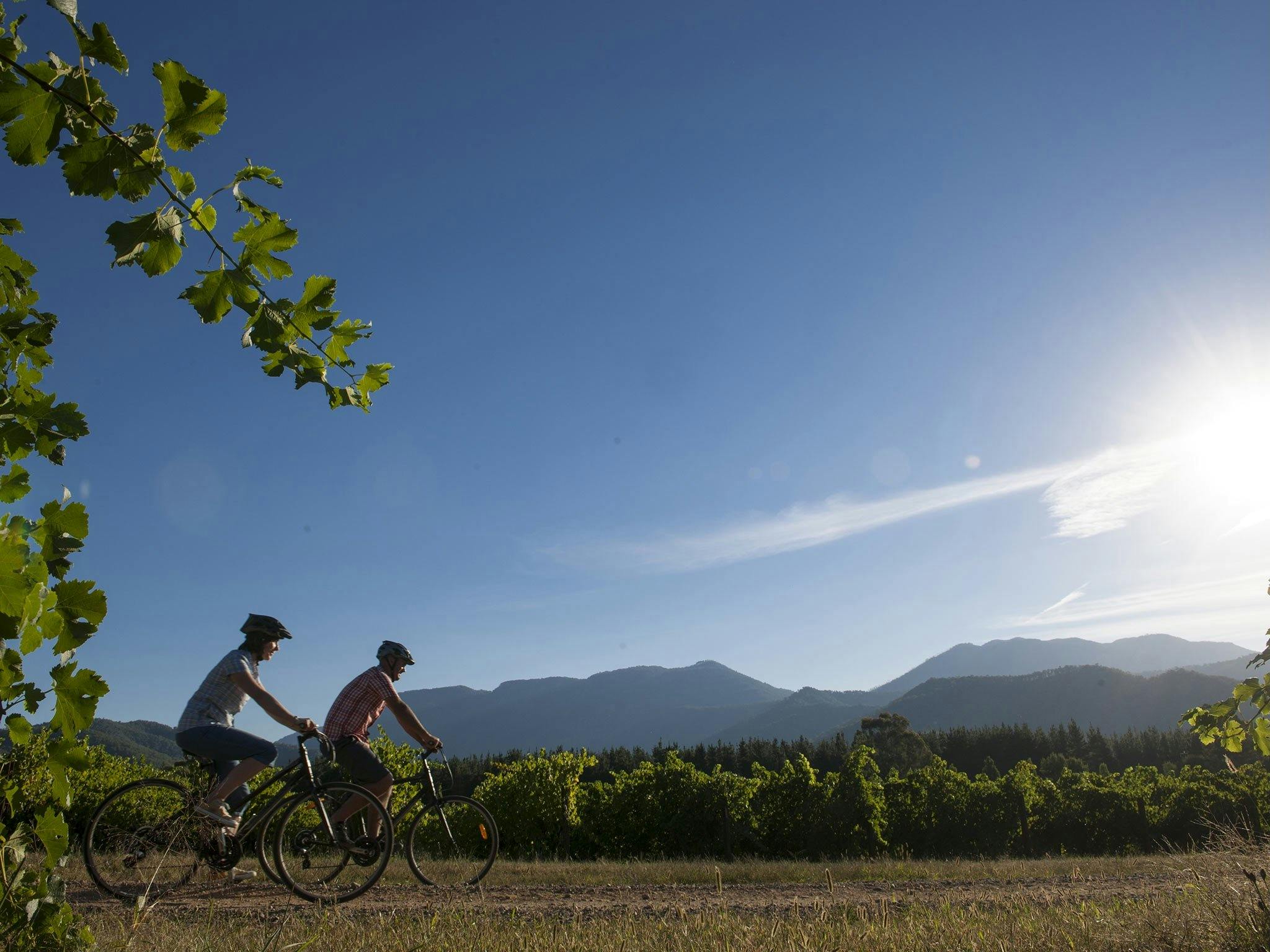 Murray to Mountains Rail Trail