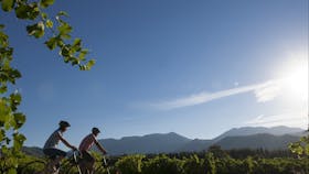 Murray to Mountains Rail Trail