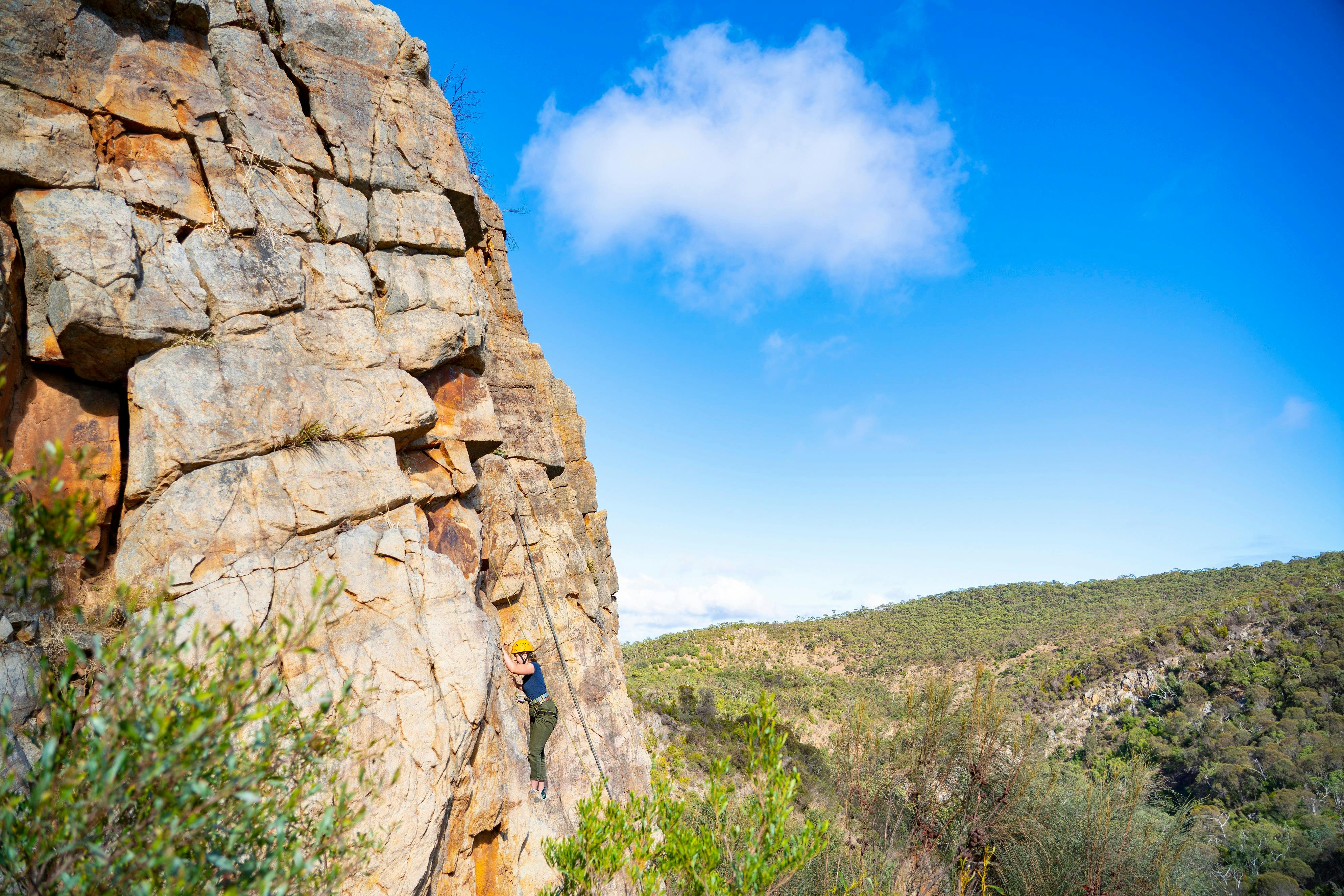 Fleurieu Climb and Gin Tasting