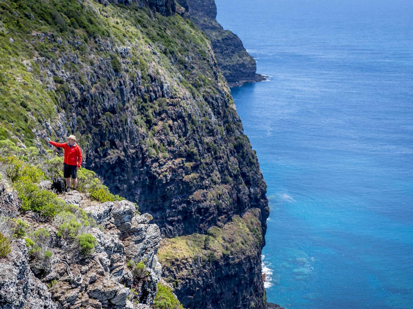 Image for Seven Peaks Walk at Pinetrees Lord Howe Island