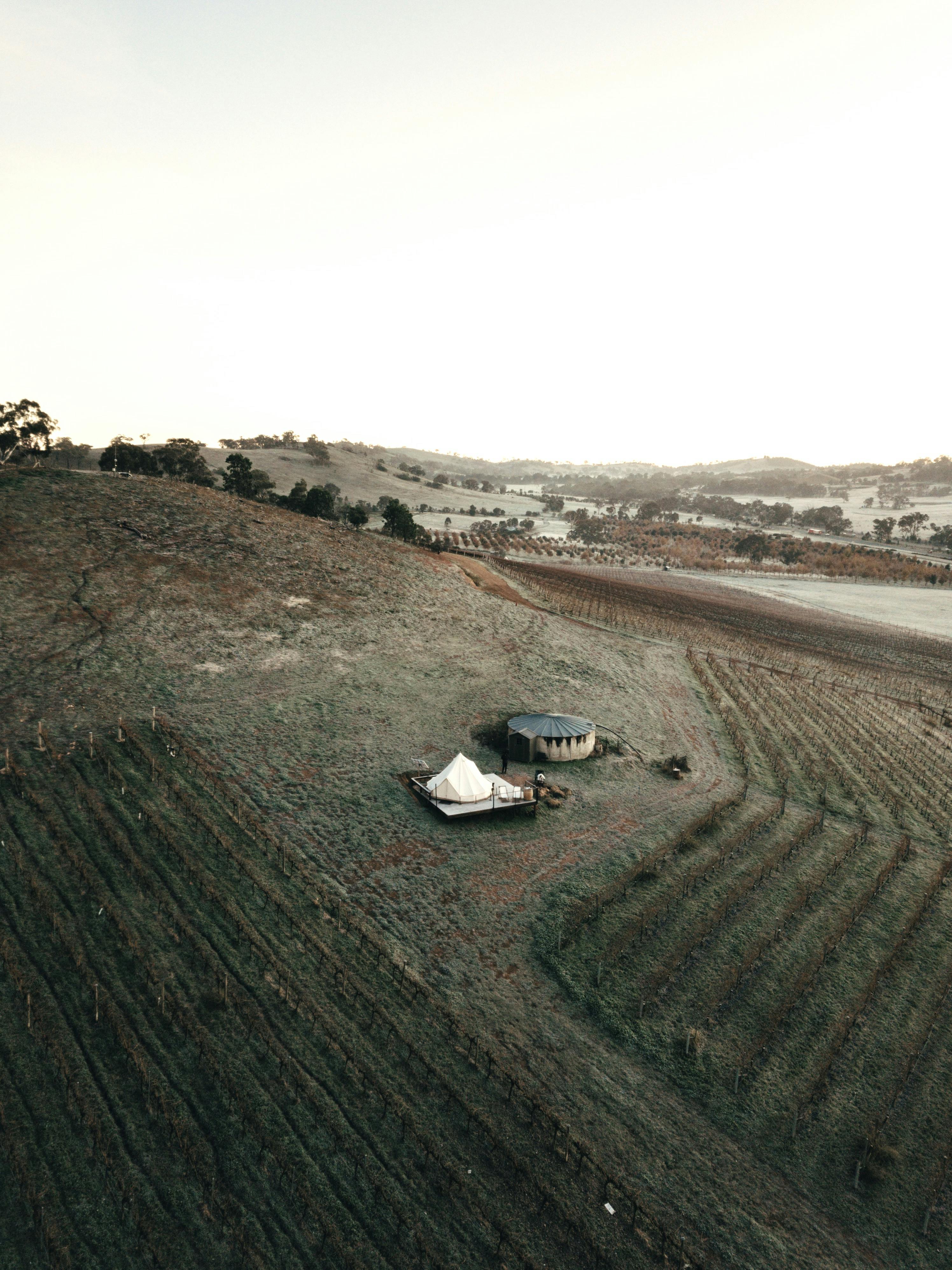 Aerial view of the Edgar cubby, sitting between the vines