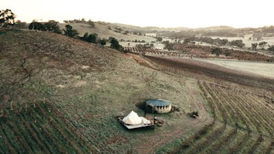Aerial view of the Edgar cubby, sitting between the vines