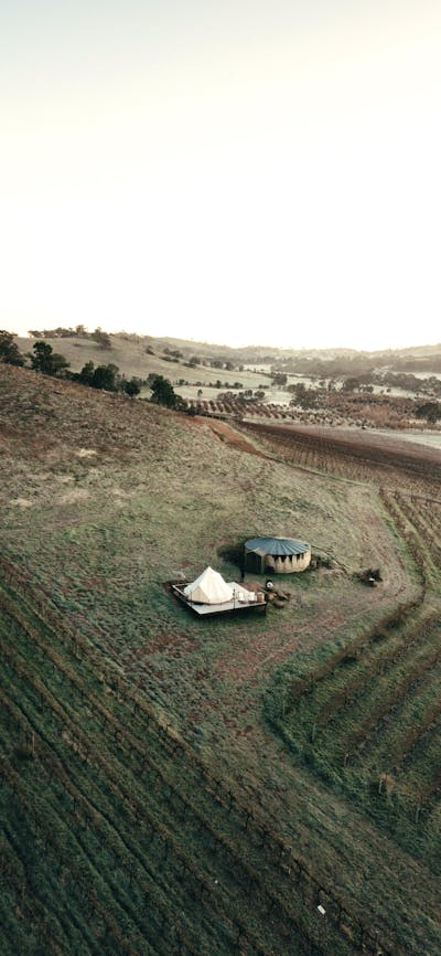 Aerial view of the Edgar cubby, sitting between the vines