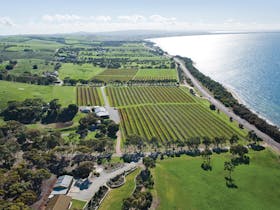 Boston Bay Wines Aerial Photograph Port Lincoln Cellar Door and Function Centre