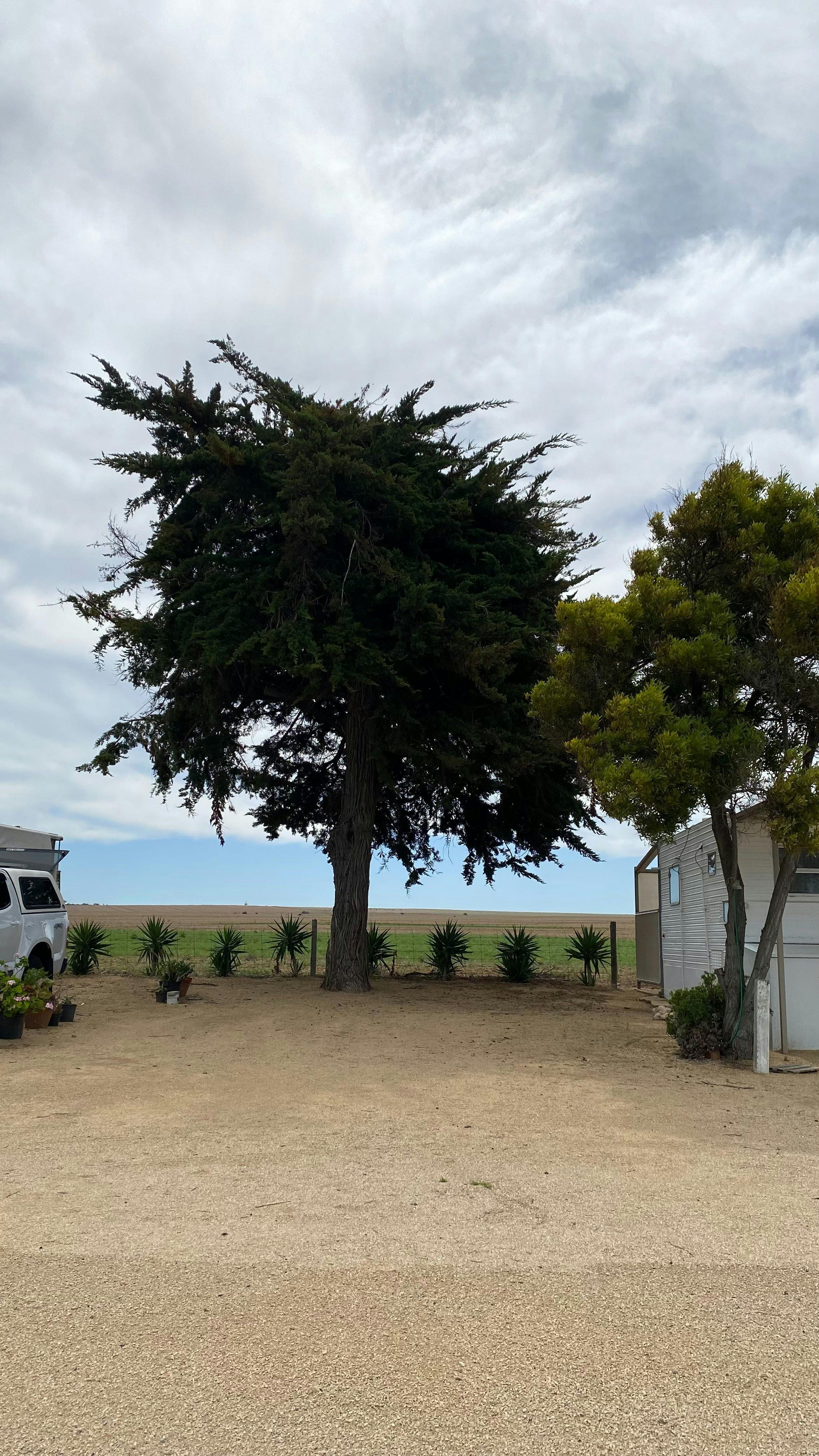 Site 8