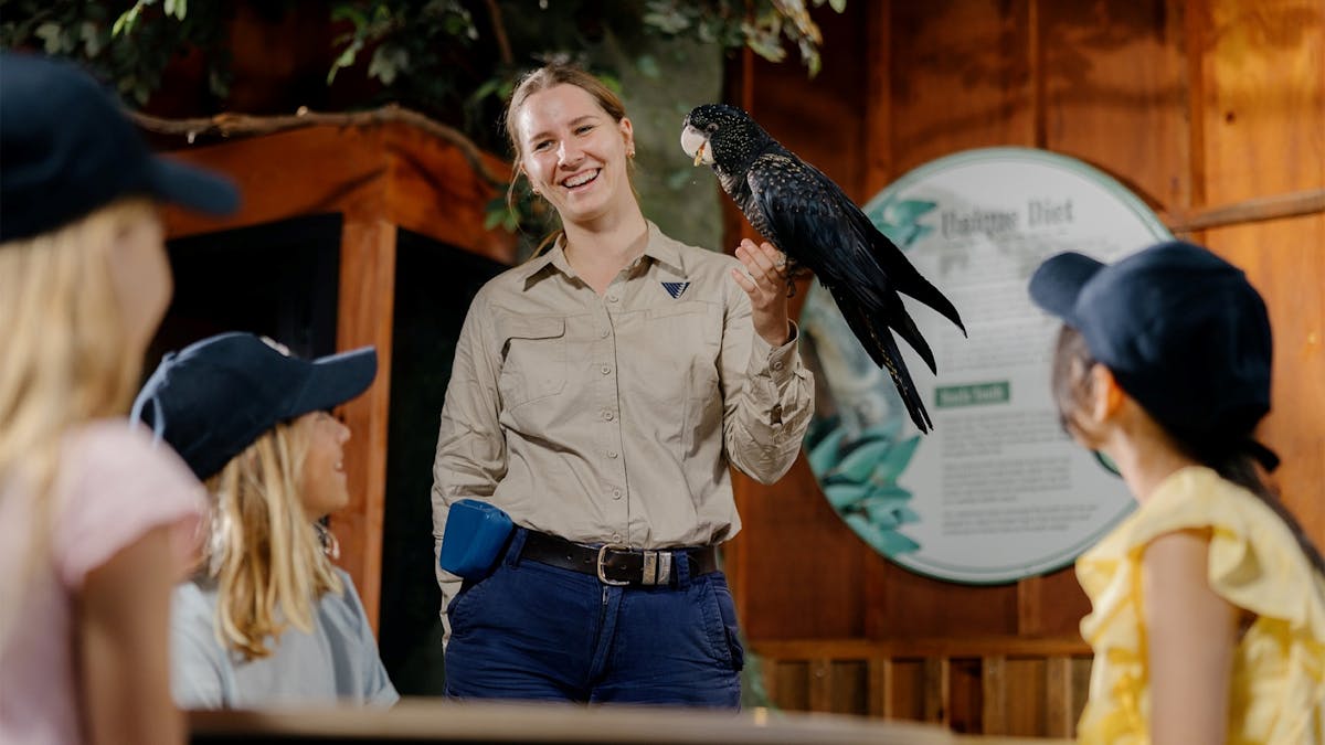 Save a Mate Ranger