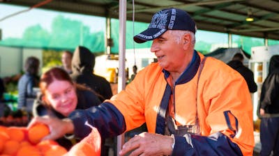 Citrus producer selling oranges at farmers market