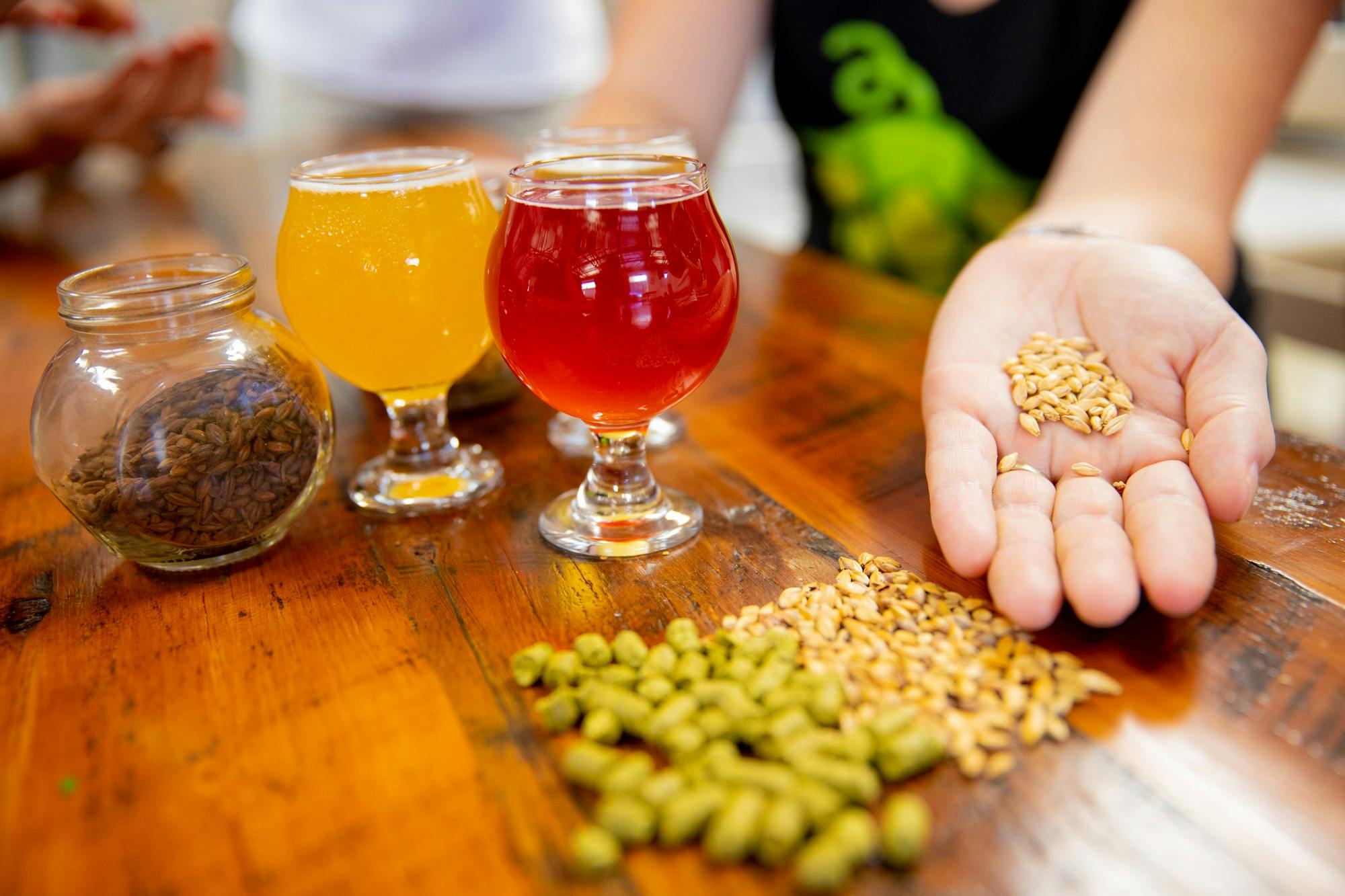 Showing off the ingredients of beer