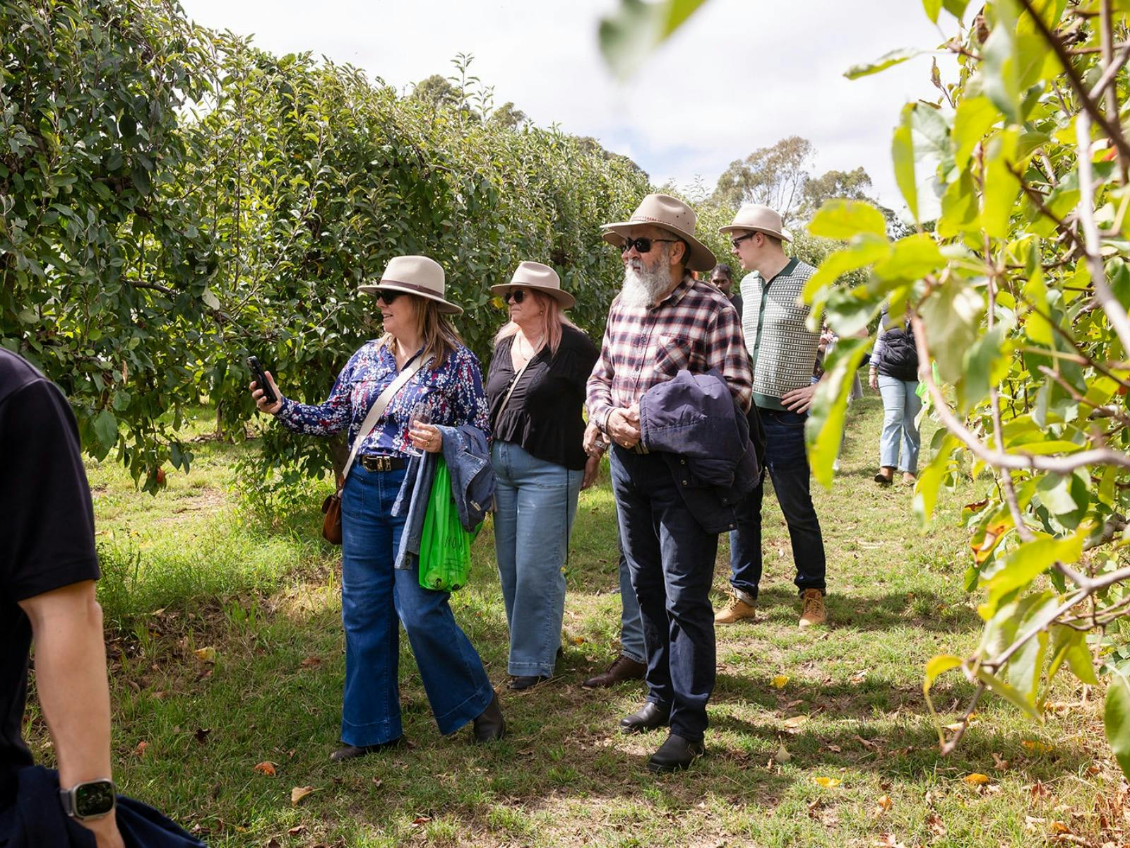 Hillside Harvest Vineyard Group walking through vineyard
