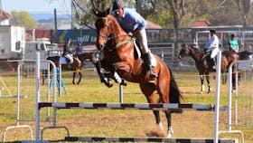 Glen Innes Show