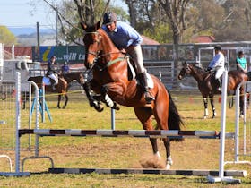 Glen Innes Show Cover Image