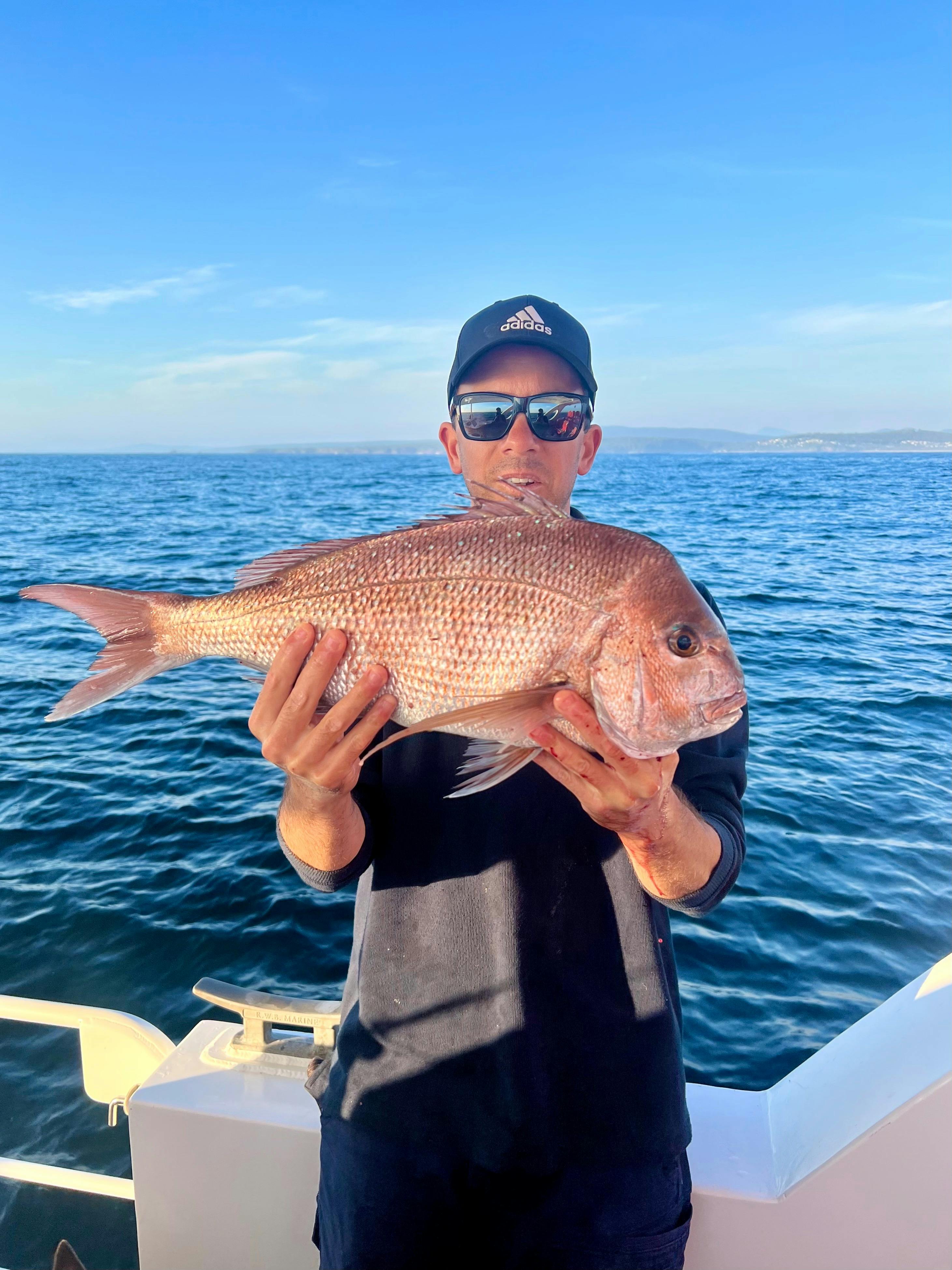 Snapper, Merimbula Fishing Charters. Fishing Merimbula